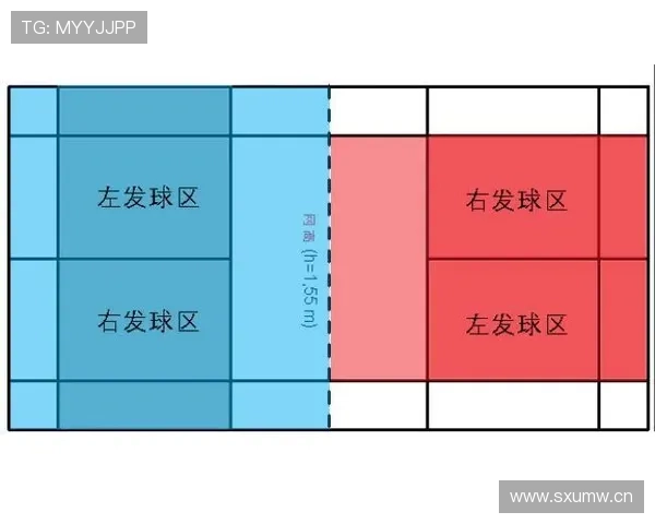界外球规则解析：球权归属与发球位置界定